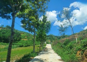 Bán 4989m2 bám mặt hồ toàn bộ đất sổ đỏ có 300m2 thổ cư tại xã Yên Bài, Ba Vì chỉ 3,5tr/m2